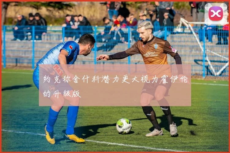 约克称舍什科潜力更大视为霍伊伦的升级版