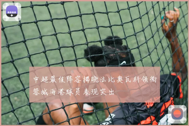 中超最佳阵容揭晓法比奥瓦科领衔蓉城海港球员表现突出