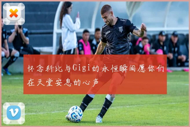 怀念科比与Gigi的永恒瞬间愿你们在天堂安息的心声