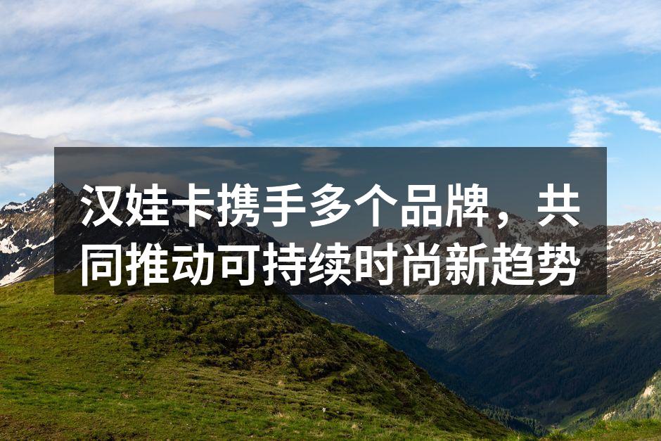 汉娃卡与知名品牌合作会议
