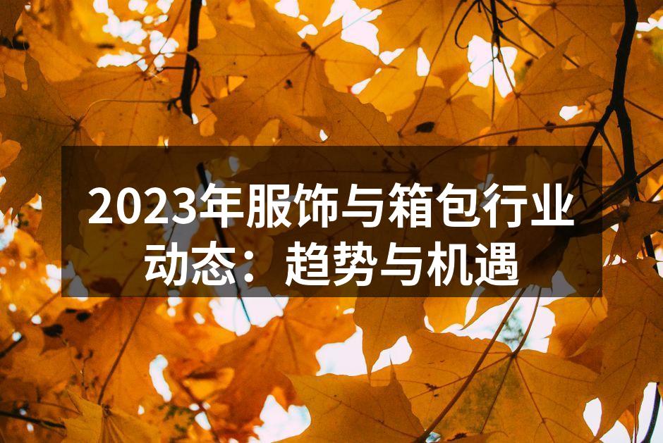2023年服饰与箱包行业动态：趋势与机遇